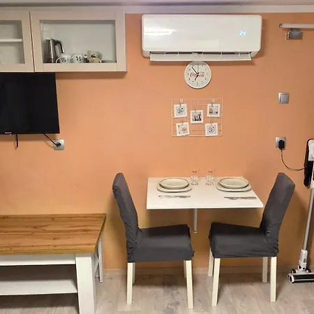 Apartment Apartma Ina